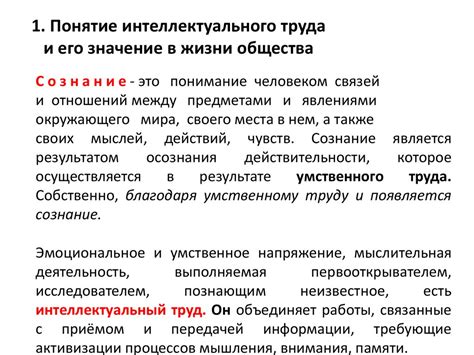 Тибильга: понятие и его значение