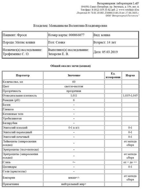Типы и причины кокковой микрофлоры у кошек