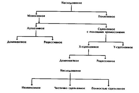 Типы наследования признаков