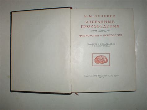 Трение пальцев: физиология и психология