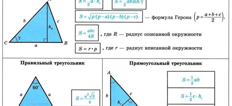 Треугольник талии и его функции