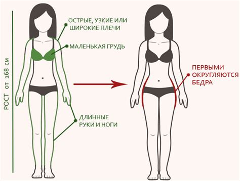 Узкие бедра у женщин: причины и последствия