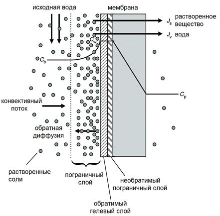 Универсальность и широкий спектр применения