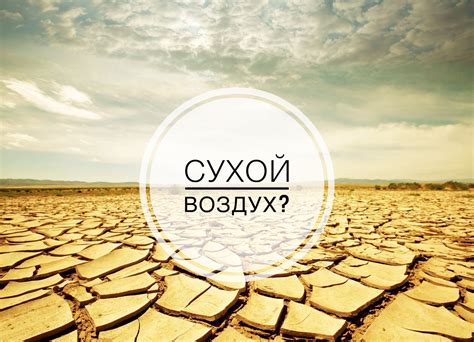 Уровень влажности