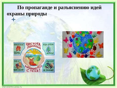 Участие каждого в сохранении природы