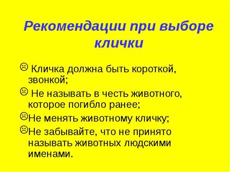 Учет особенностей породы при выборе клички