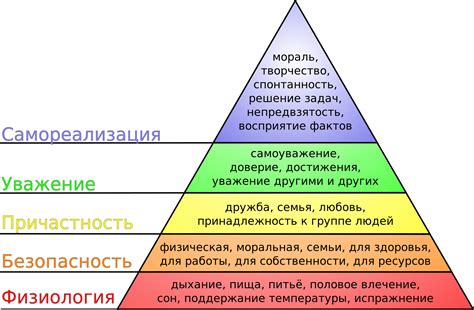 Физиологические причины потребности в питье
