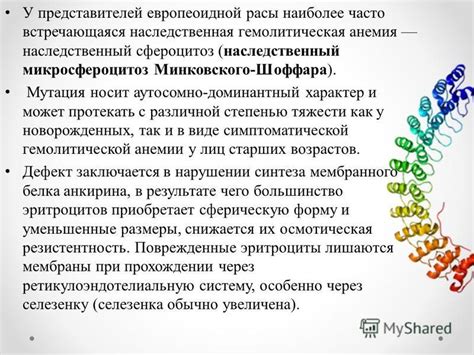 Физические особенности и типичные черты представителей расы европеоидной