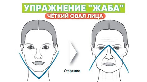 Физические характеристики раздвоенного подбородка