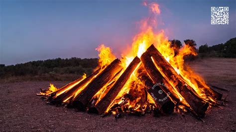 Фламинго и энергия огня