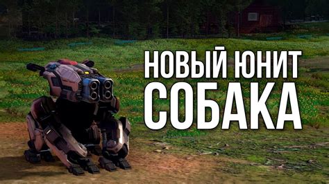 Фраза "любишь как собака палку" - краткий обзор