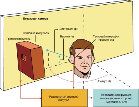 Функции звукового образа