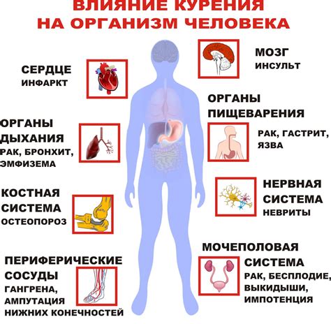 Хэш бола и его влияние на организм