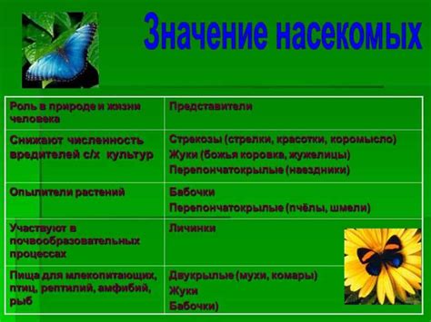 Цветовое и материальное разнообразие