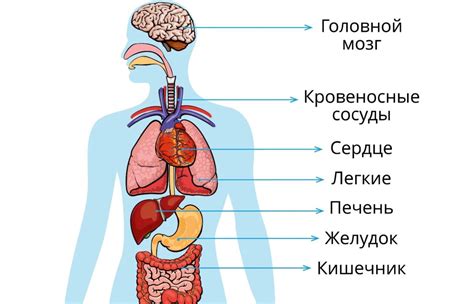 Человек и его состояние