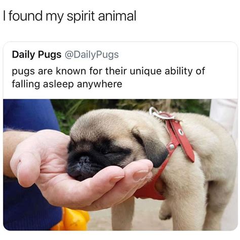 Что значит по фене