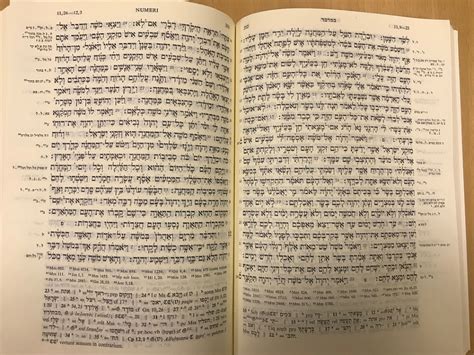 Что скрывается за словом "потс" на еврейском языке