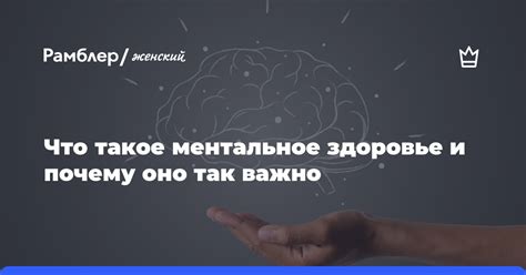 Что такое "куцо" и почему оно так важно