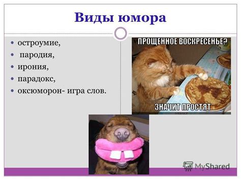 Чувство юмора и игра слов
