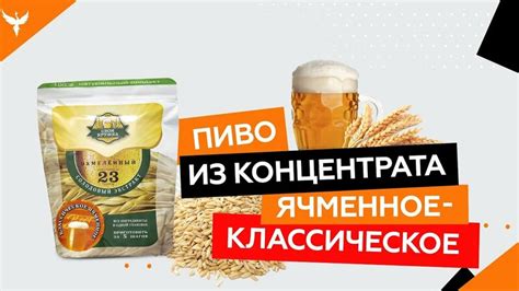 Шаги по приготовлению украинского пива