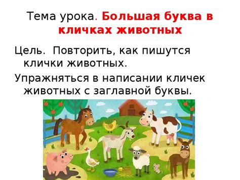 Шуша как любимая кличка для животных