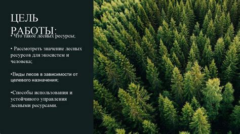 Экономическое значение лесных ресурсов