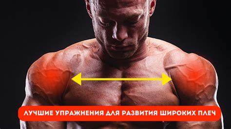 Эстетические аспекты широких плеч