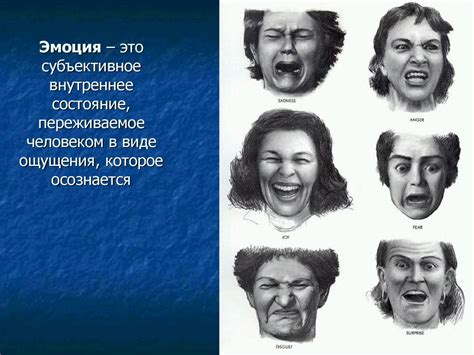  Влияние эмоций на жест 