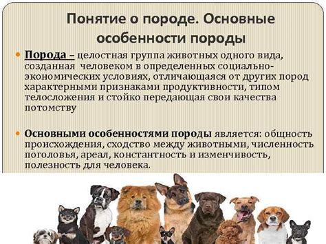  Понятие эксплуатации животных 